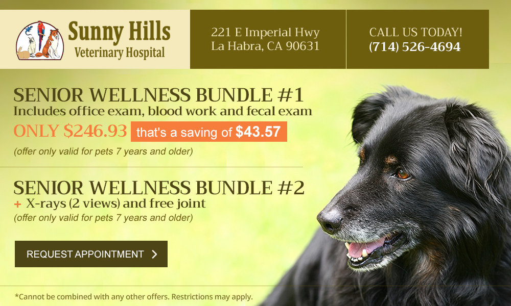 Specials La Habra Vet Sunny Hills Vet